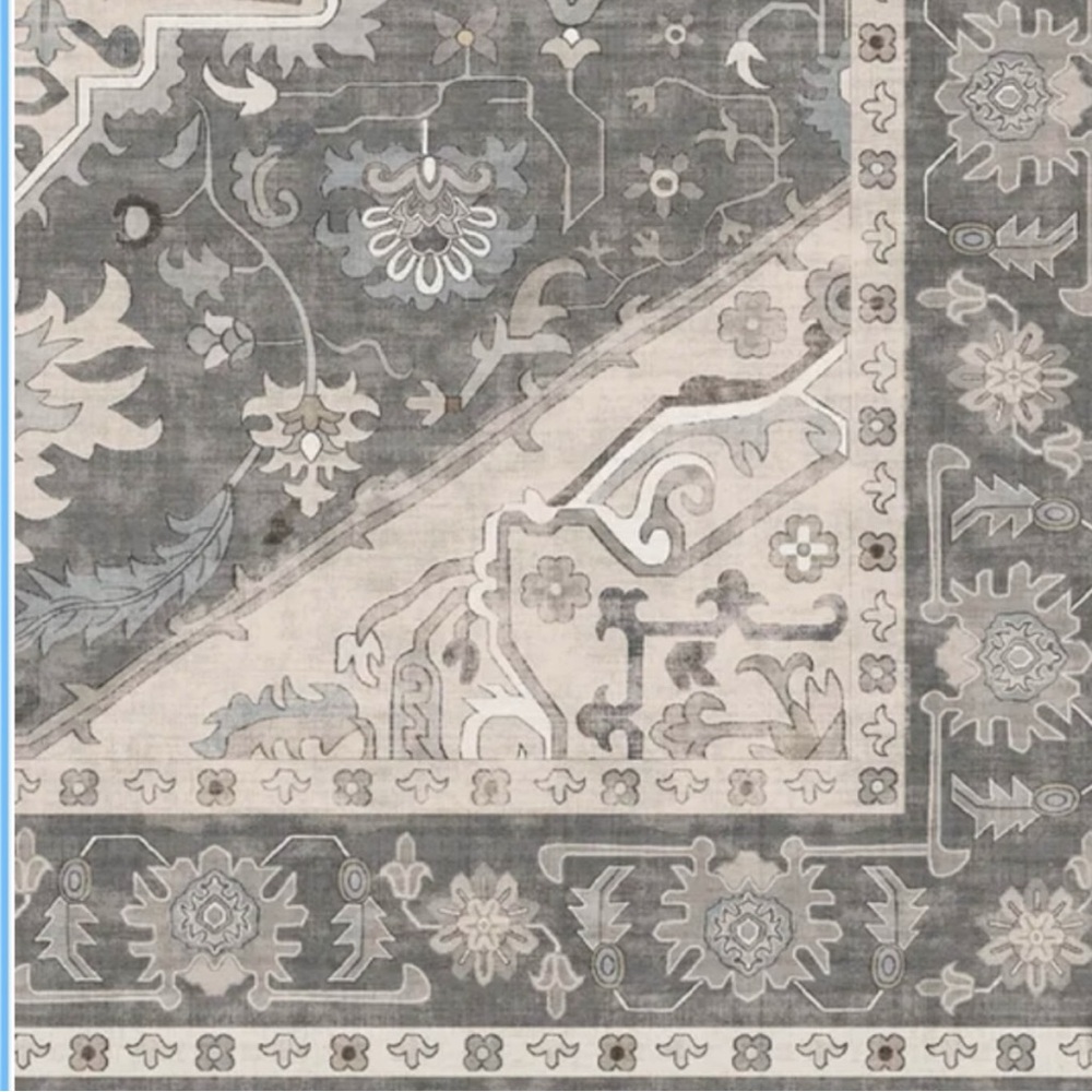 Washable Indoor Area Rug Darya, 5.3’ x 7.5’ - Picture 4 of 5